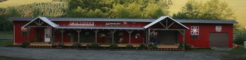 The Storehouse; Fraser Fir Christmas Tree Lot, Southern States Farm Supply. Newland, North Carolina