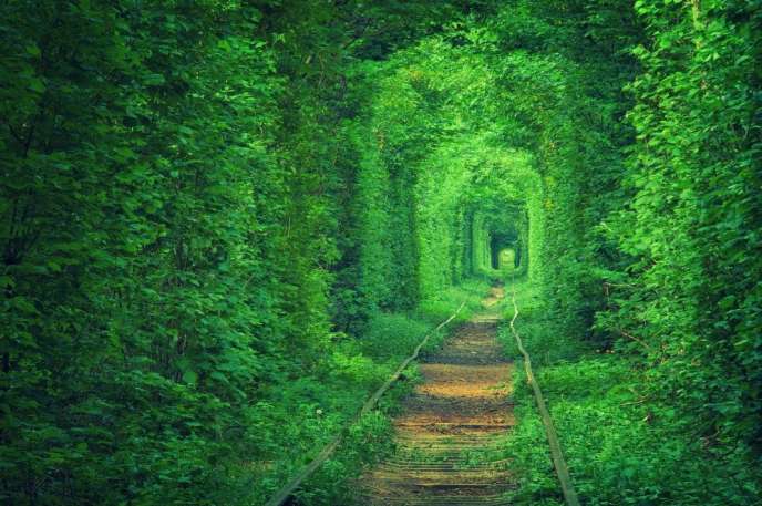 tunnelOfLove