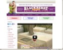 webDesignBlackberryCreek